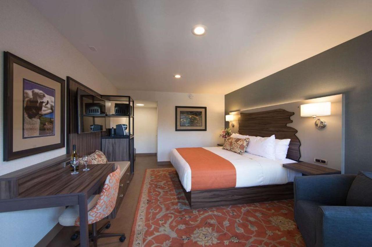 The Vine Inn Davis Ngoại thất bức ảnh